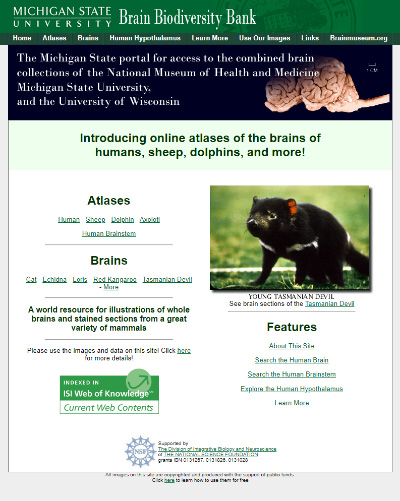 Image of what the Brain Biodiversity Bank website looks like
